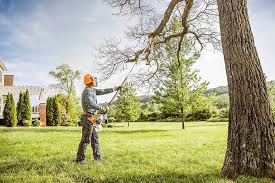 Best Pest Control for Lawns  in Hillsboro, TX